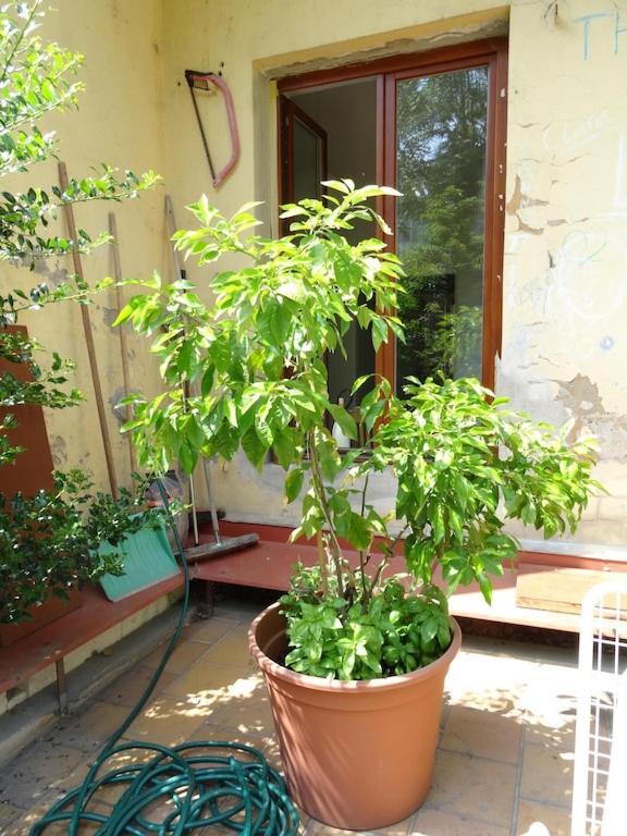Garden Apartment On Art Nouveau Street In Central Prague Exterior photo